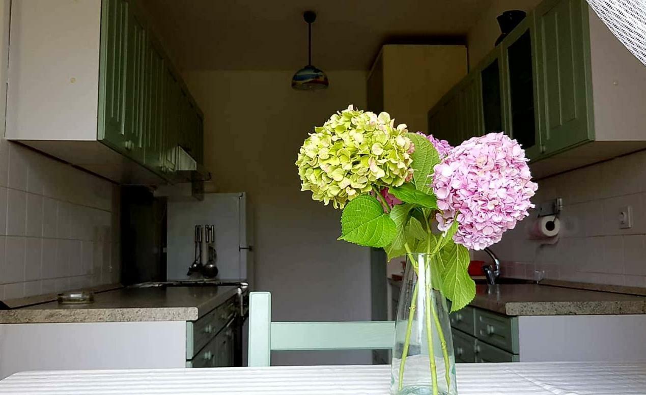 Adelia Apartment Mali Losinj Ngoại thất bức ảnh